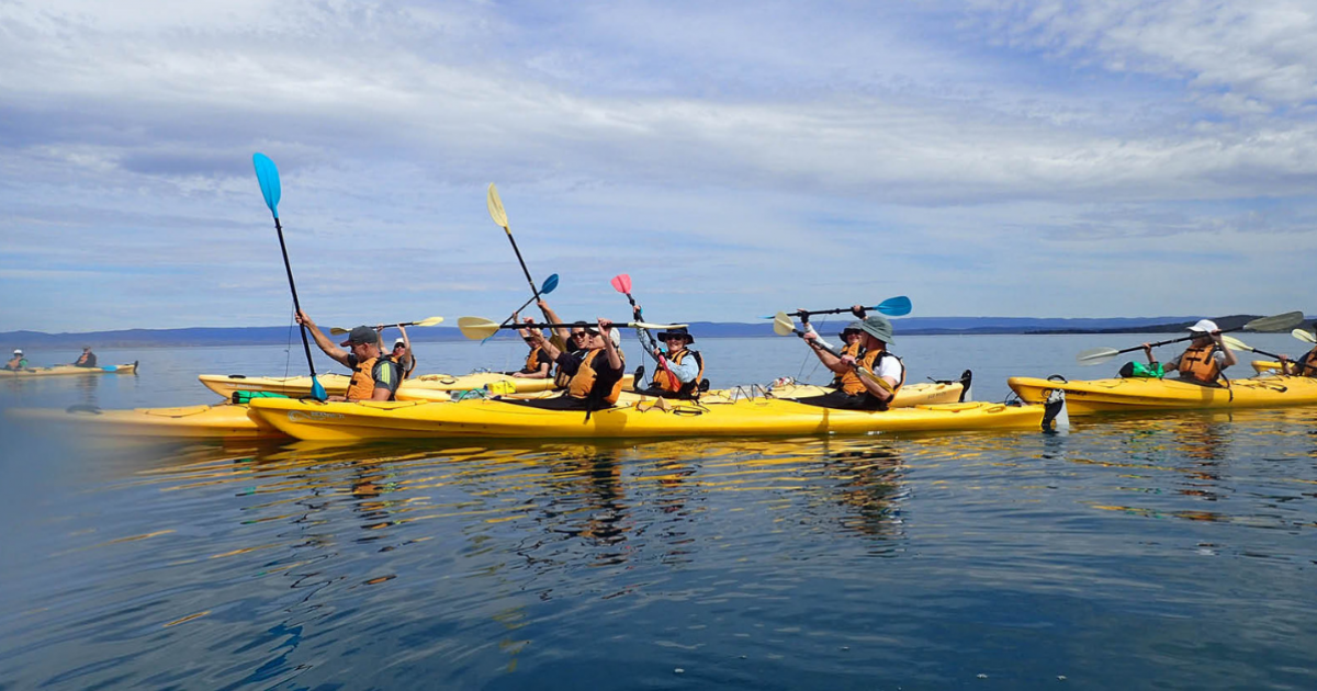 Download Notes Trek, Kayak & Cycle Tasmania for Can Too Foundation.